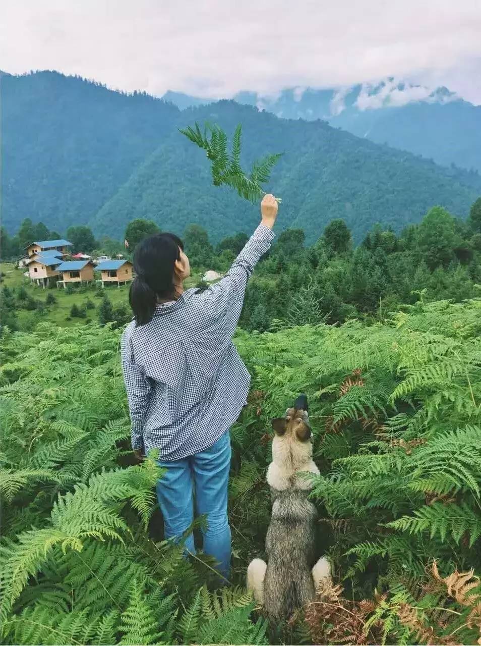 若丁山七號(hào)營地，無數(shù)人向往的“星空露營地”