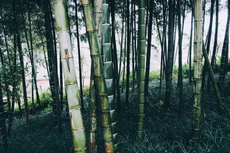 宛若故里，來(lái)麗江古城住最美民宿