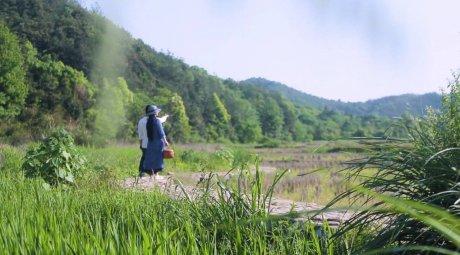 新安江畔谷掌民宿，莊園里享受青山環(huán)繞的美景