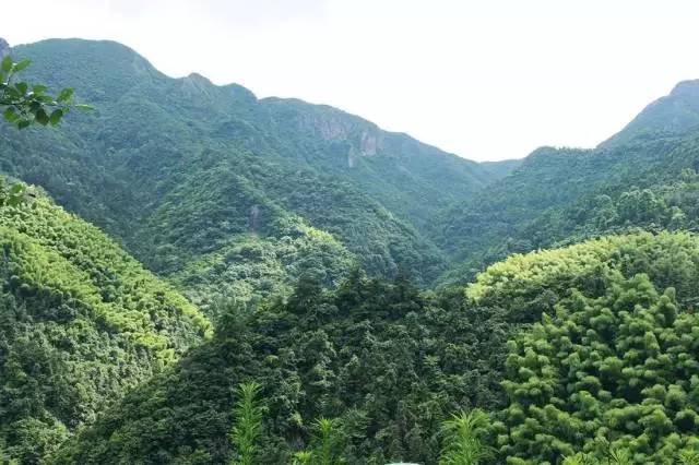 不舍·野馬嶺中國村民宿，樂在其中不忘初心