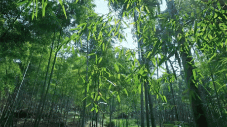 熹園茶宿，禪茶一宿悠然山水間