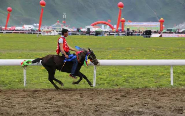 香格里拉非梵之宿，帶著你走茶馬古道