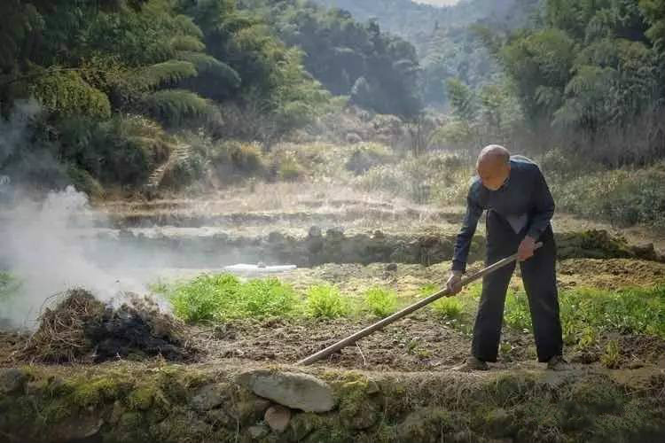 草宿民宿，愿做一顆草向往山間無(wú)拘無(wú)束的生活