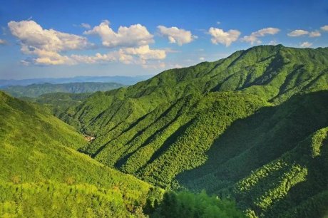 竹里云溪民宿設(shè)計，回歸田園