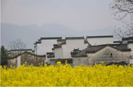 黃山悅榕莊