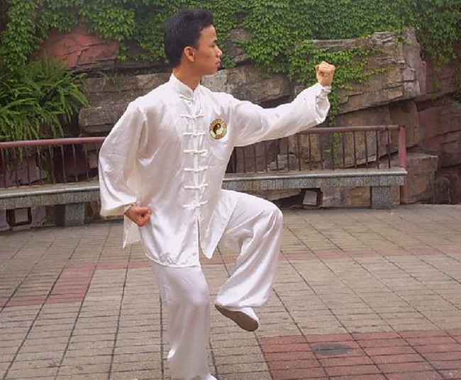 中華武術(shù)：陳氏太極拳