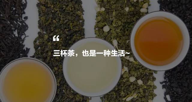 烏龍先生，用心做好茶發(fā)揚(yáng)博大精深的茶文化