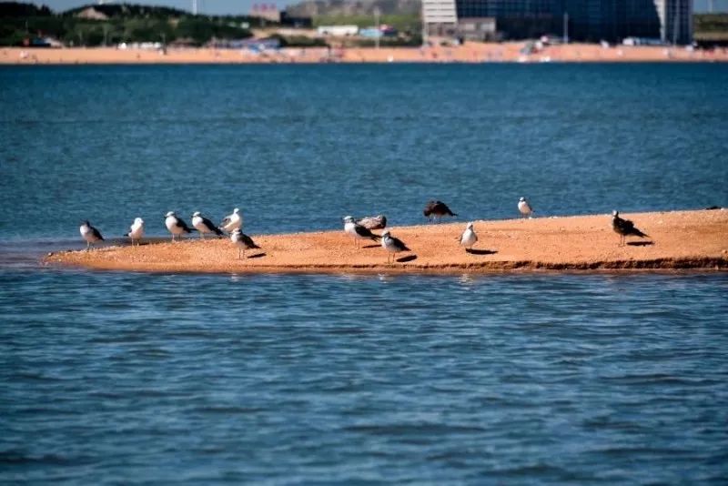 風(fēng)景游玩攻略：11個絕美海島路線約嗎？