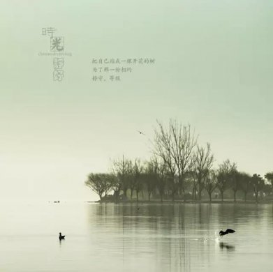 風(fēng)景攝影作品時(shí)光靜好：邛海景色！