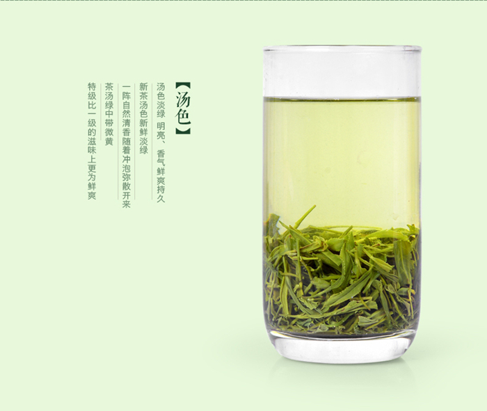 中國(guó)十大名茶之信陽(yáng)毛尖