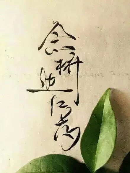 別致新穎的書法字體，美的很有意境！