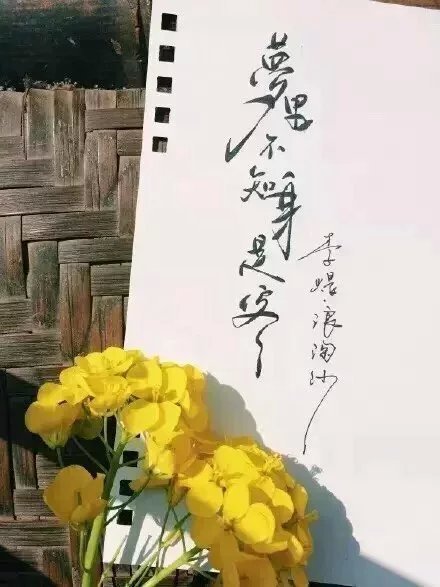 別致新穎的書法字體，美的很有意境！