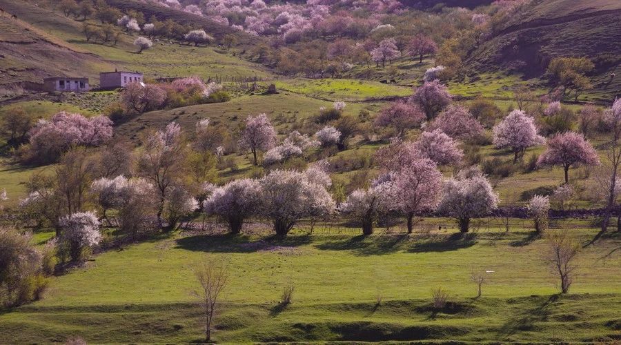 最美人間四月，詩(shī)情畫(huà)意不可錯(cuò)失的風(fēng)景推薦