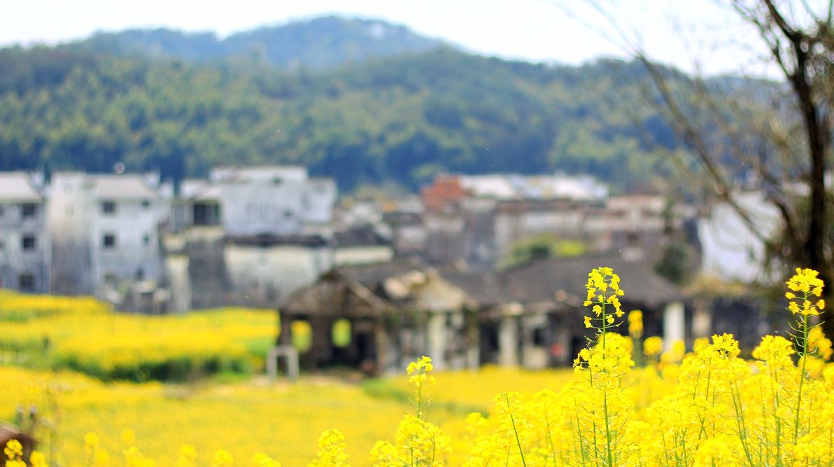 夢(mèng)回西江，南昌，廬山，婺源