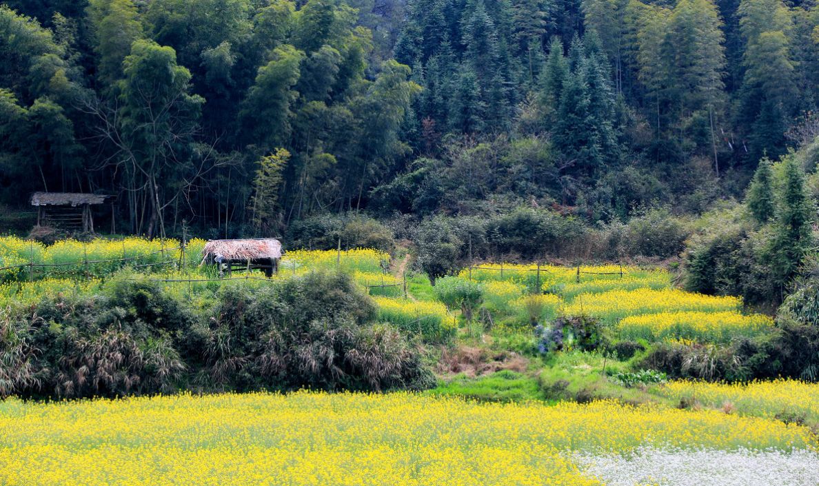 夢(mèng)回西江，南昌，廬山，婺源