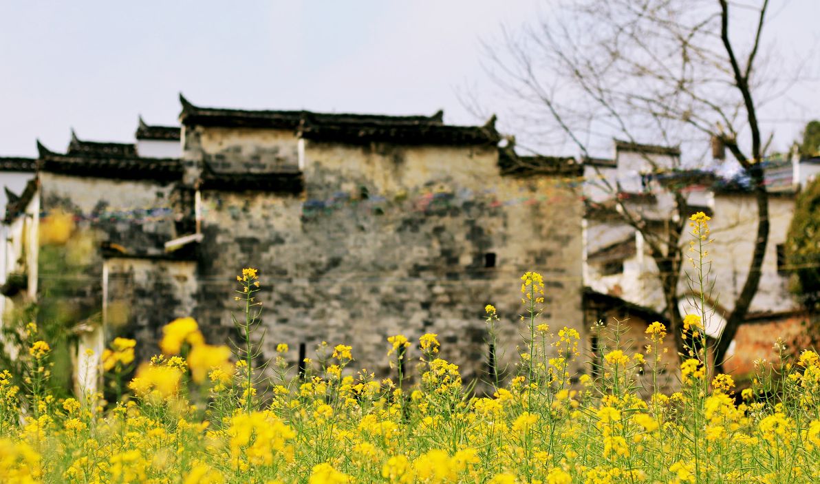 夢(mèng)回西江，南昌，廬山，婺源