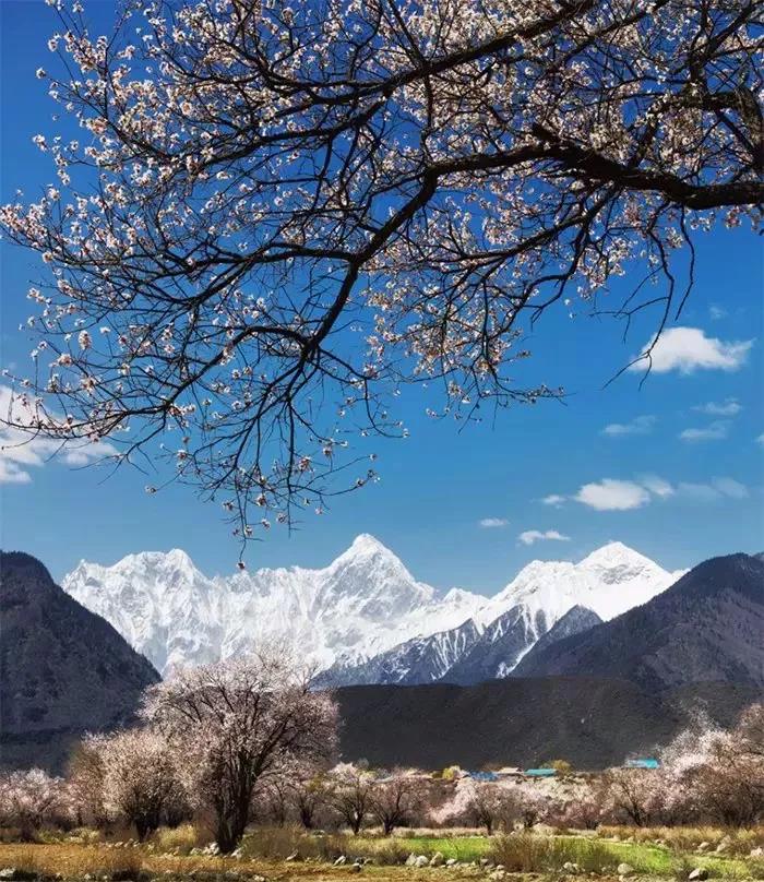 8處風(fēng)景如詩(shī)如畫，春天最值得去的地方！