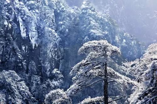 雪后黃山風(fēng)景宛如人間仙境，舞一曲雪中霓裳羽