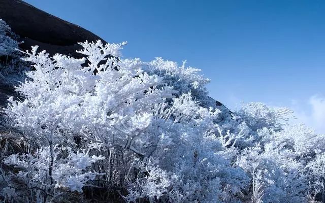 雪后黃山風(fēng)景宛如人間仙境，舞一曲雪中霓裳羽