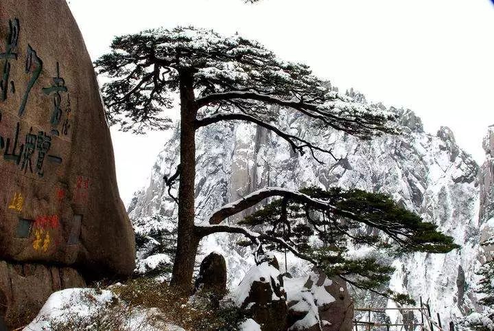 雪后黃山風(fēng)景宛如人間仙境，舞一曲雪中霓裳羽