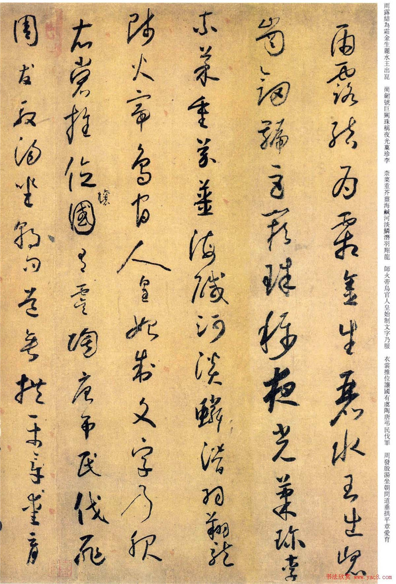 “草圣”懷素書法欣賞《小草千字文》