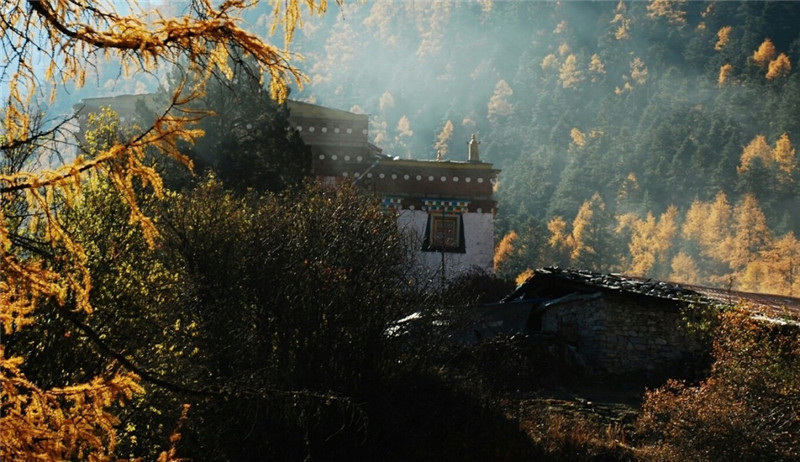 山中寺廟林間美景