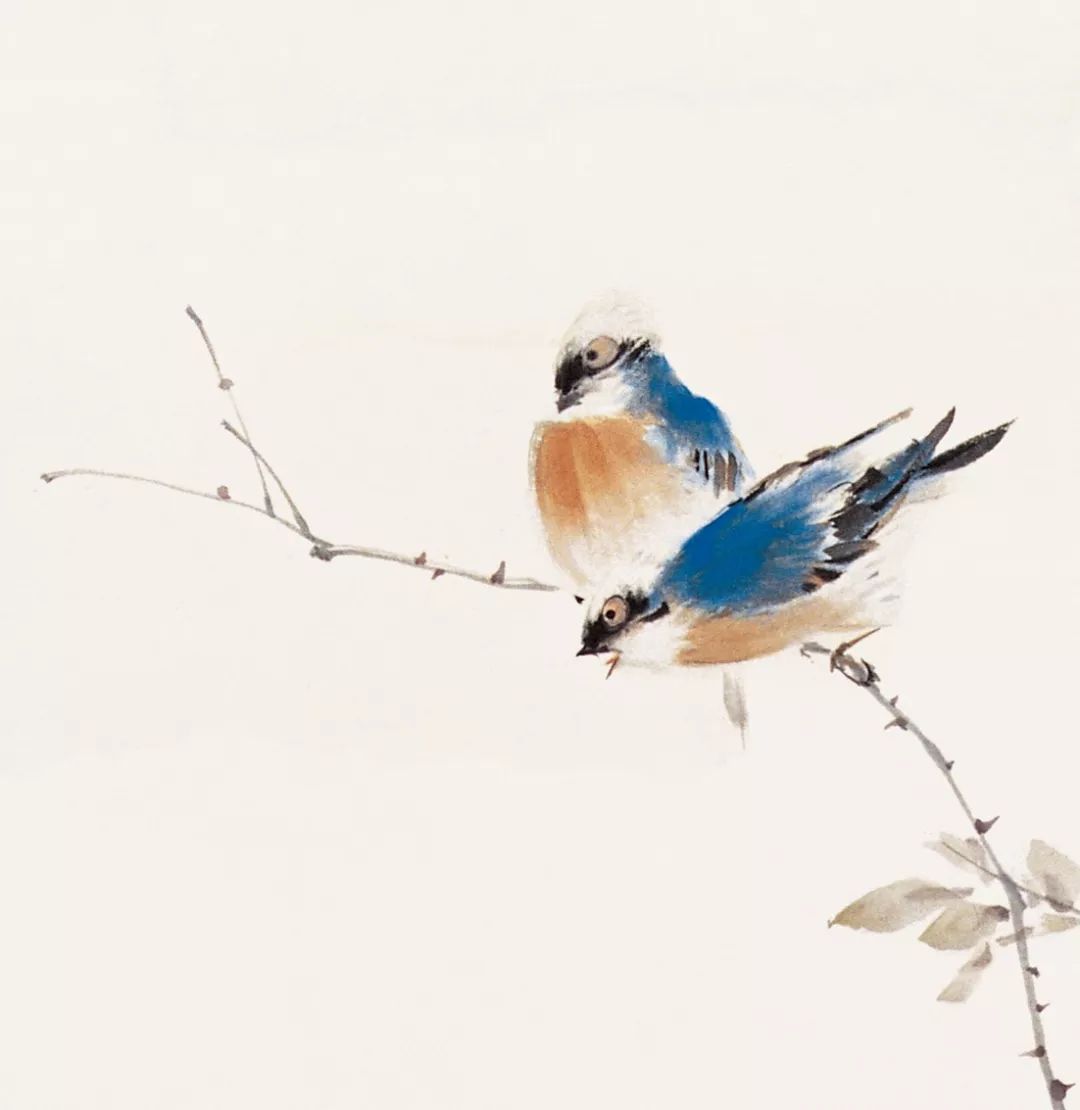 100幅禽鳥百圖，國畫鳥類美醉了！