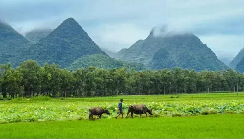 《三生三世十里桃花》的外景拍攝地！