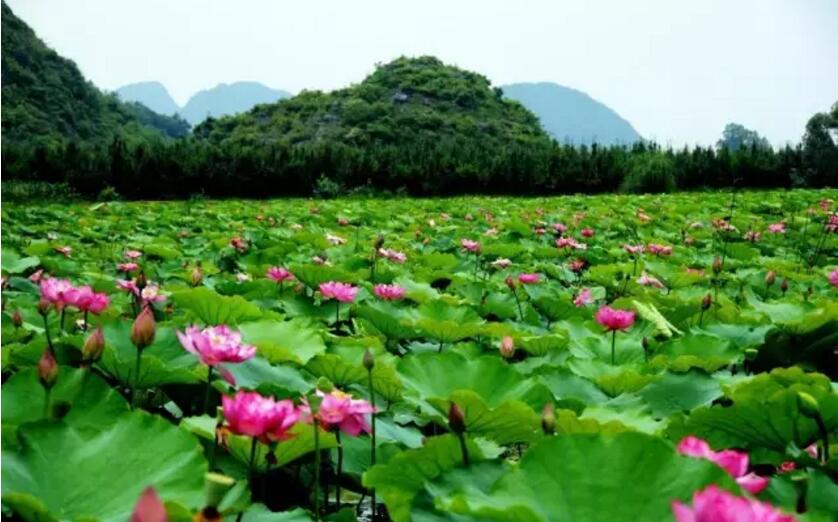 《三生三世十里桃花》的外景拍攝地！