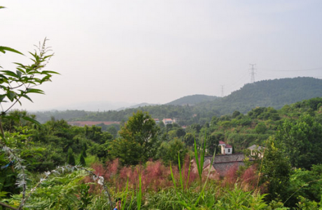 林彪祖墳風(fēng)水好嗎？揭秘林彪祖墳風(fēng)水