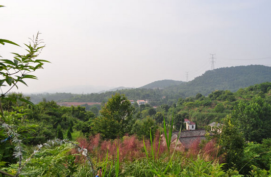 林彪祖墳風(fēng)水好嗎？揭秘林彪祖墳風(fēng)水