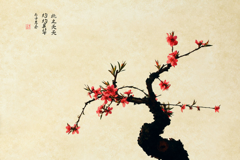 紅艷桃花繪畫(huà)國(guó)畫(huà)欣賞