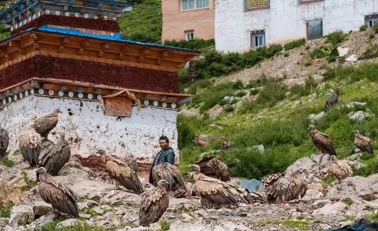 中國最險的6大寺廟：屹立千百年而不倒