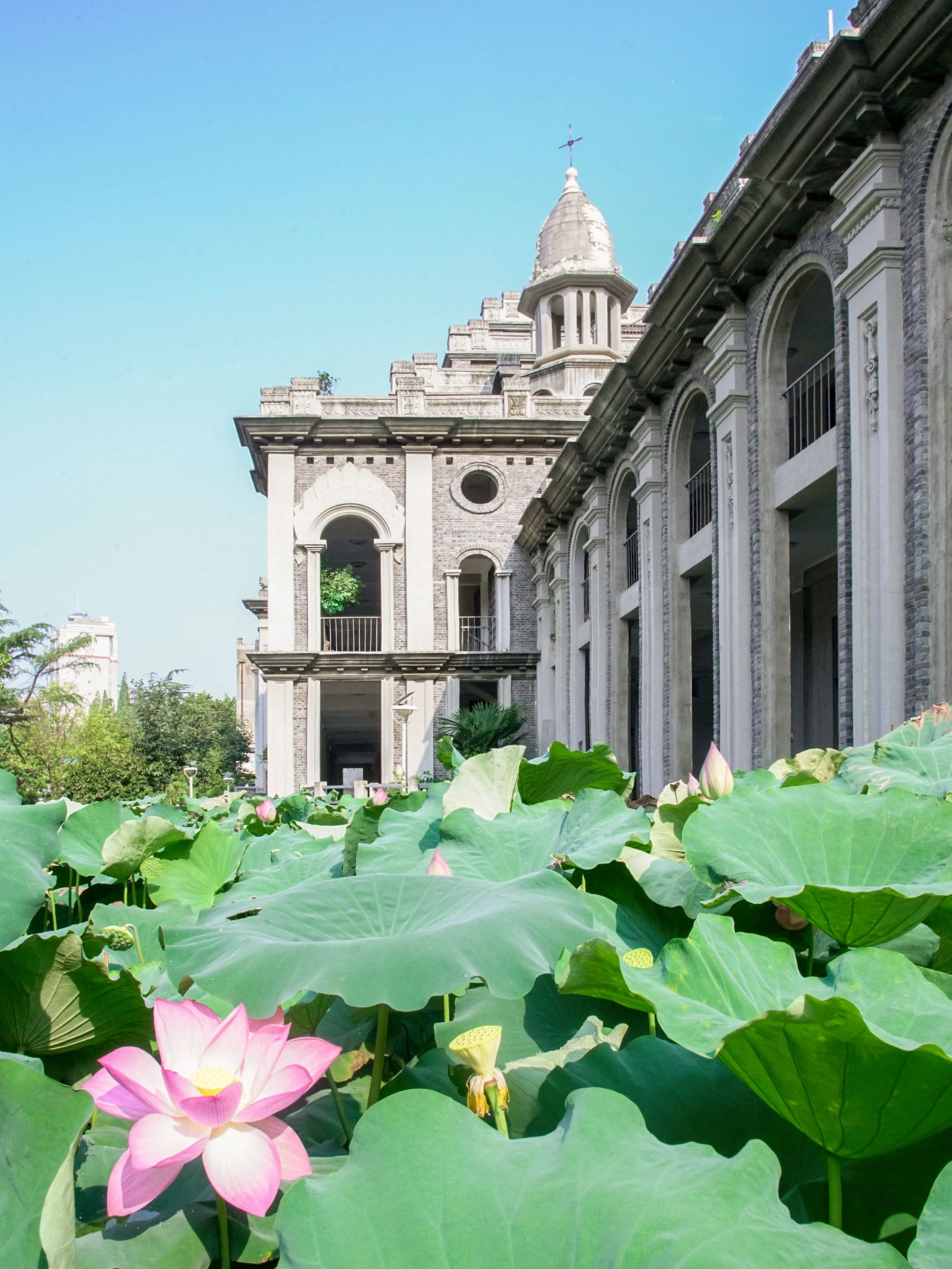 武漢鬧市的尼姑庵，全中國最美寺廟古德寺