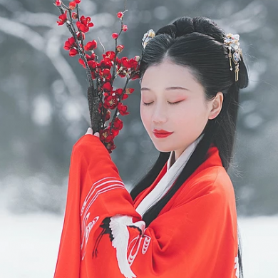 紅梅白雪彈琴女生頭像，唯美古風(fēng)真人頭像