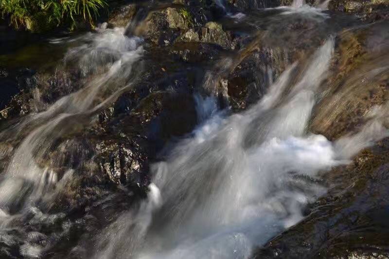 莫干山悠然九希，面朝竹海背向茶山的避暑圣地