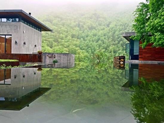 莫干山悠然九希，面朝竹海背向茶山的避暑圣地