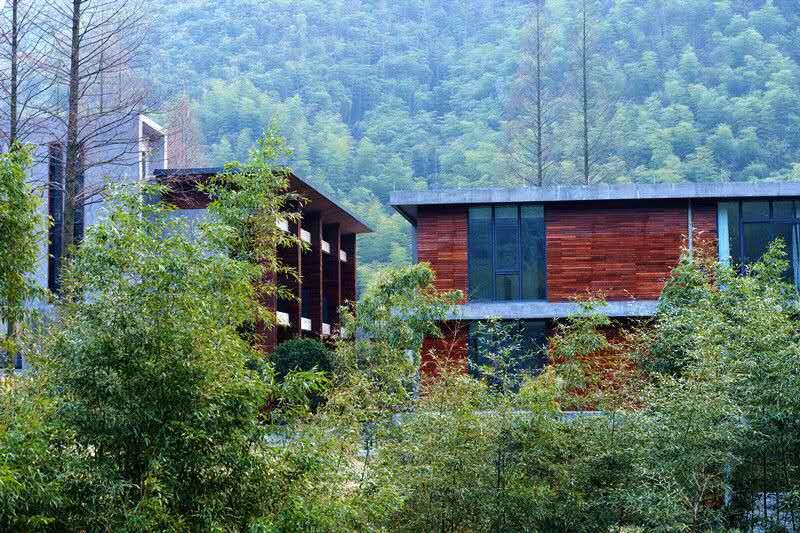 莫干山悠然九希，面朝竹海背向茶山的避暑圣地